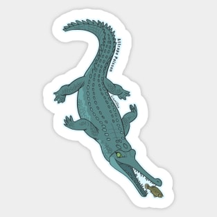 Attrape Poisson - FR - Gavial Sticker